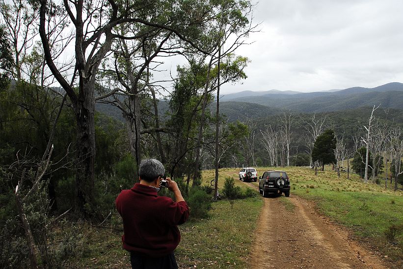 01-Zebra & Panda head down Jacksons Crossing Track to cross the Snowy River.jpg